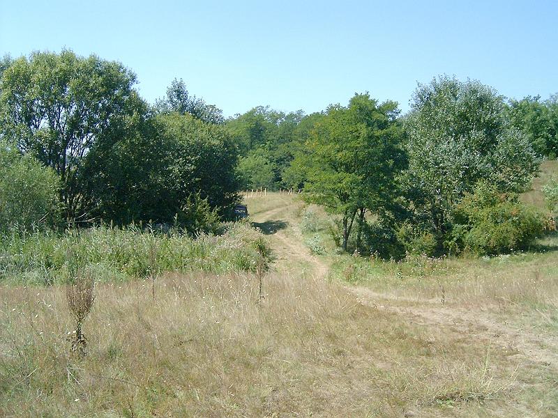 2009.08.20 023.jpg